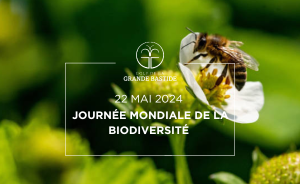 22 mai : Journée mondiale de la biodiversité - Open Golf Club