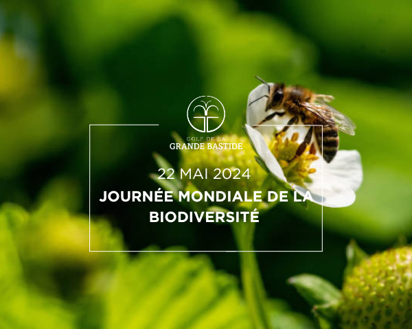 22 mai : Journée mondiale de la biodiversité - Open Golf Club