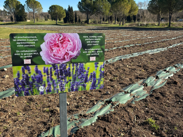 A Frame of Roses to Enhance Golf de la Grande Bastide - Open Golf Club