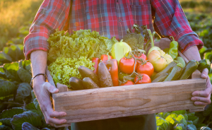 Golf de la Grande Bastide is committed to local and sustainable cuisine! - Open Golf Club