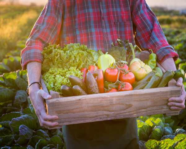 Golf de la Grande Bastide is committed to local and sustainable cuisine! - Open Golf Club