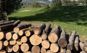 Des murs de bois pour soutenir la biodiversité - Open Golf Club