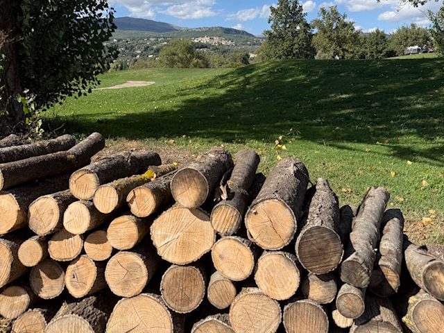 Des murs de bois pour soutenir la biodiversité - Open Golf Club