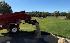 Des bunkers entièrement rénovés pour un jeu optimal - Open Golf Club